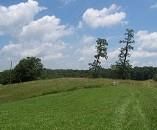 Land in Metcalfe County, Kentucky