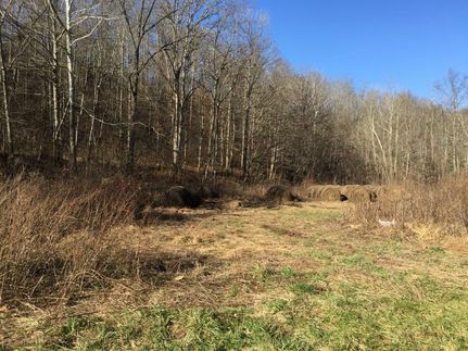 Land in Metcalfe County, Kentucky