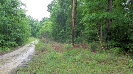 Land in Metcalfe County, Kentucky
