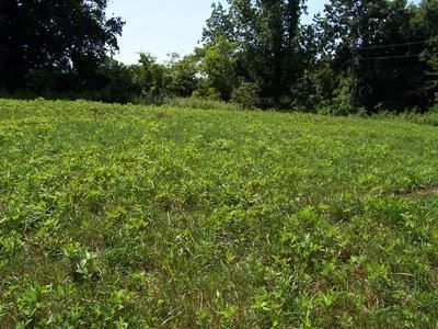 Commercial Property in Hart County, Kentucky