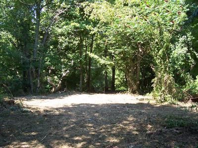 Riverfront Property in Metcalfe County, Kentucky