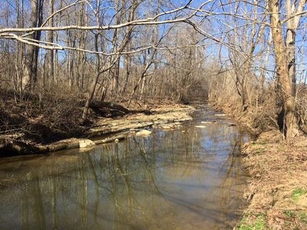 Farm and Ranch in Metcalfe County, Kentucky
