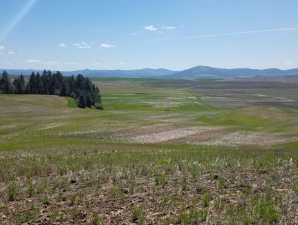 Farm and Ranch in Benewah County, Idaho