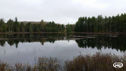 House in Presque Isle County, Michigan