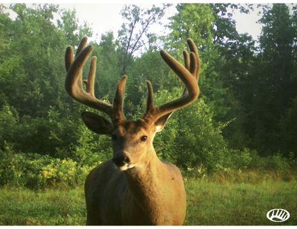 Land in Mille Lacs County, Minnesota