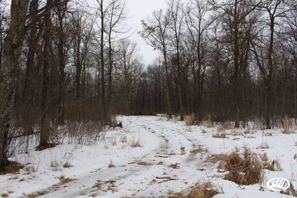 Land in Morrison County, Minnesota