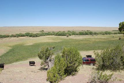 Farm and Ranch in Apache County, Arizona