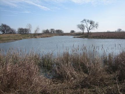 Farm and Ranch in Hill County, Texas