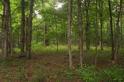 Land in Ritchie County, West Virginia