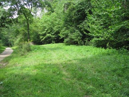 Land in Ritchie County, West Virginia