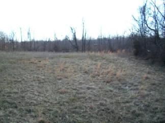 Land in Butler County, Kentucky
