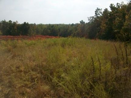 Land in Ohio County, Kentucky
