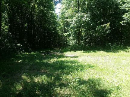 Land in Christian County, Kentucky