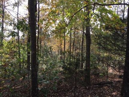 Undeveloped Land in Butler County, Kentucky