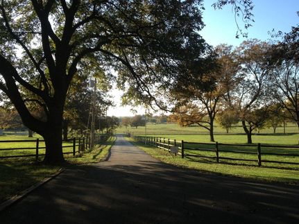 Farm and Ranch in Grayson County, Texas