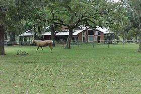 Farm and Ranch in Waller County, Texas