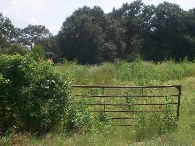 Farm and Ranch in Waller County, Texas