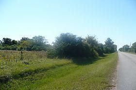 Farm and Ranch in Harris County, Texas