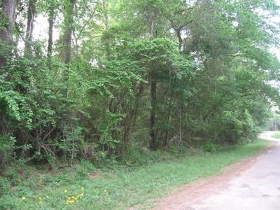 Undeveloped Land in Waller County, Texas
