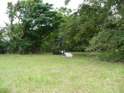 Farm and Ranch in Waller County, Texas