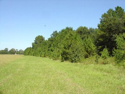 Farm and Ranch in Harris County, Texas