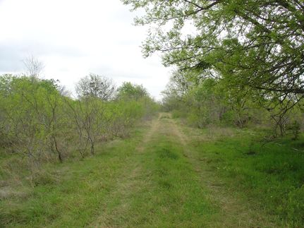 Farm and Ranch in Austin County, Texas