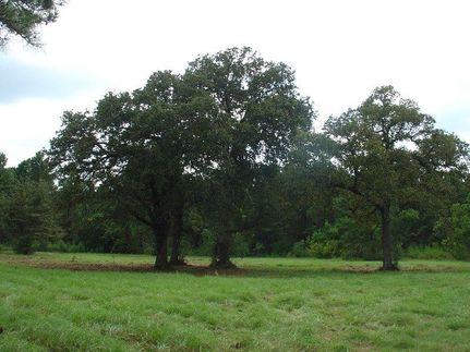 Farm and Ranch in Harris County, Texas
