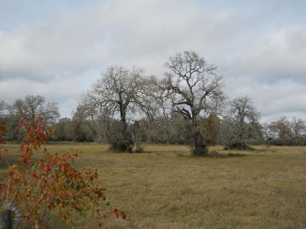 Farm and Ranch in Waller County, Texas