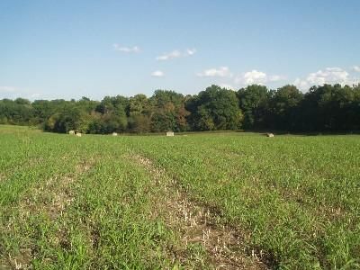 Land in Grundy County, Missouri