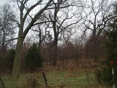 Farm and Ranch in DeKalb County, Missouri