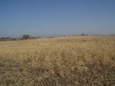 Farm and Ranch in DeKalb County, Missouri