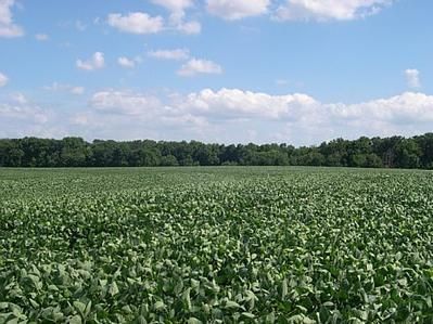Land in Daviess County, Missouri