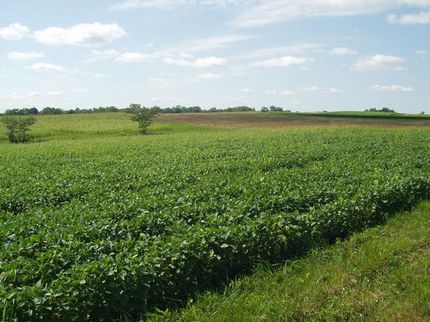 Farm and Ranch in Caldwell County, Missouri