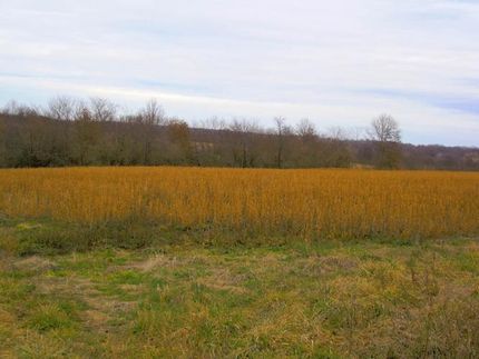 Undeveloped Land in Caldwell County, Missouri