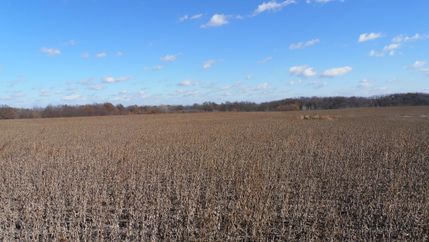 Farm and Ranch in DeKalb County, Missouri