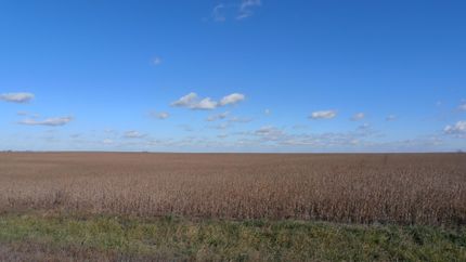 Farm and Ranch in DeKalb County, Missouri