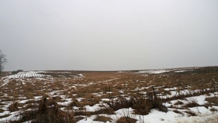 Farm and Ranch in Grundy County, Missouri