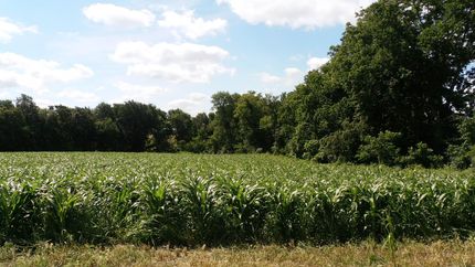Farm and Ranch in DeKalb County, Missouri
