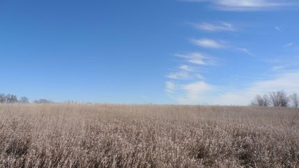 Land in DeKalb County, Missouri