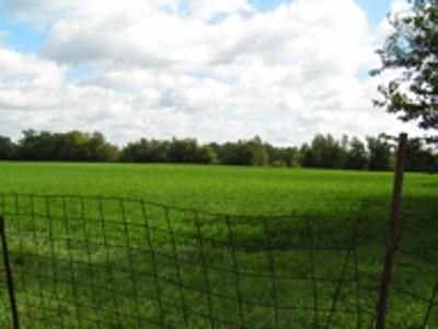 Land in Delaware County, Indiana