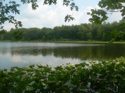 Land in Kosciusko County, Indiana