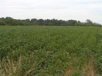 Farm and Ranch in Tippecanoe County, Indiana