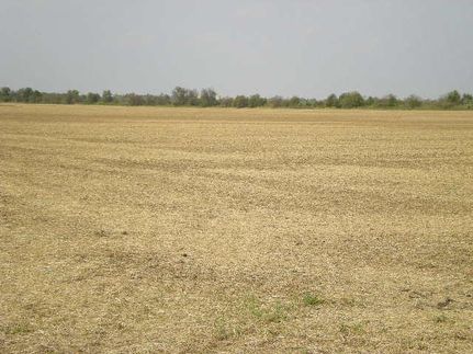 Farm and Ranch in Clinton County, Indiana