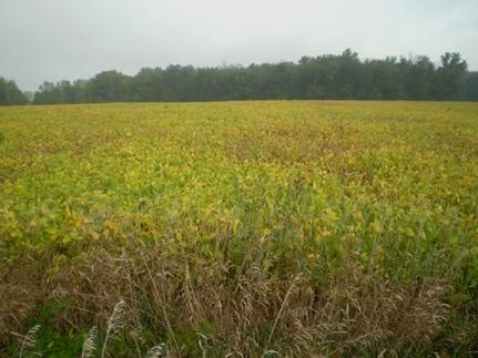 Farm and Ranch in Kosciusko County, Indiana