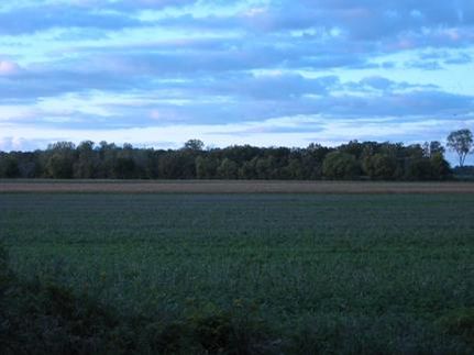 Timberland Property in Monroe County, Michigan