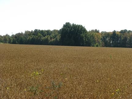 Farm and Ranch in Brown County, Ohio