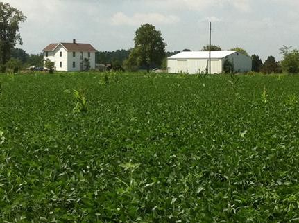 Farm and Ranch in Huntington County, Indiana