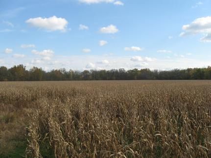 Farm and Ranch in Bartholomew County, Indiana