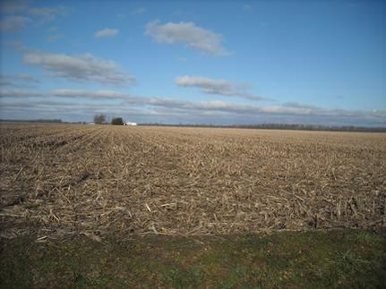 Undeveloped Land in Union County, Indiana