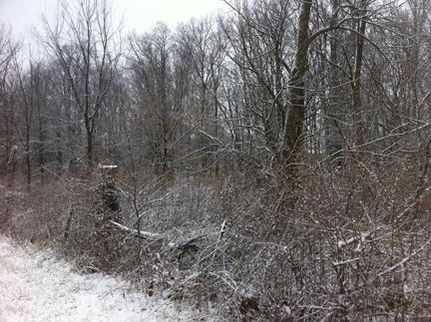 Farm and Ranch in Wabash County, Indiana